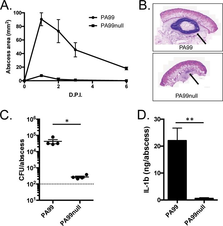 FIG 3