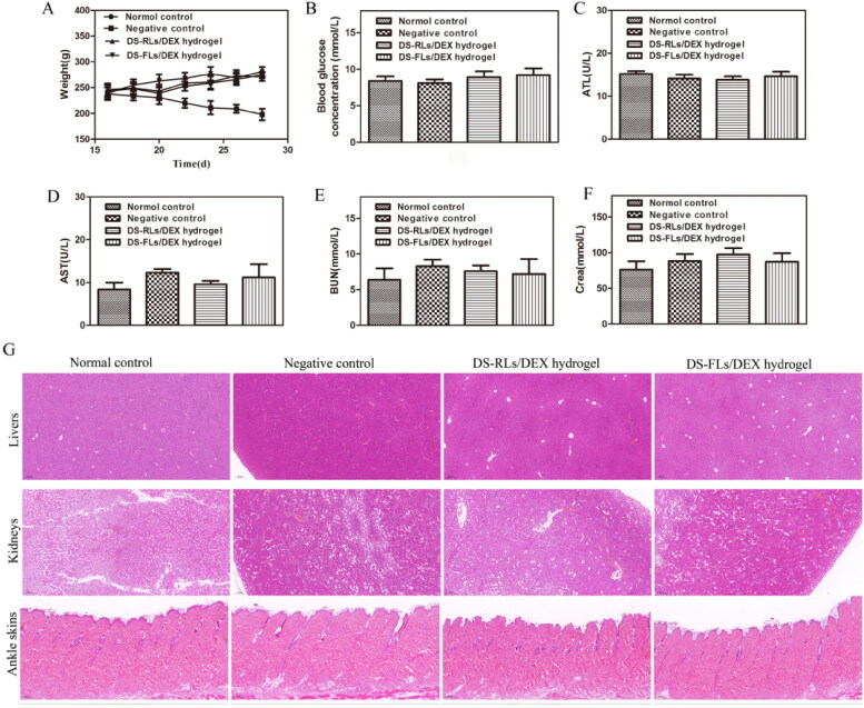 Figure 12.