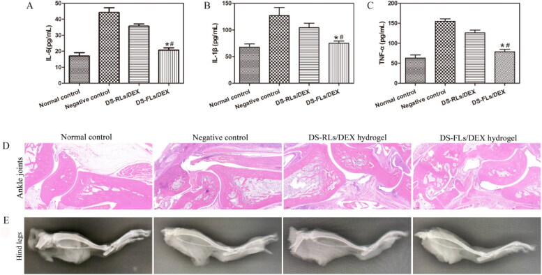 Figure 11.