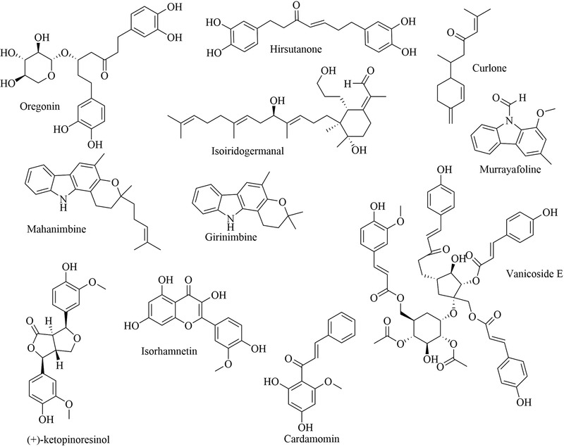 FIGURE 3