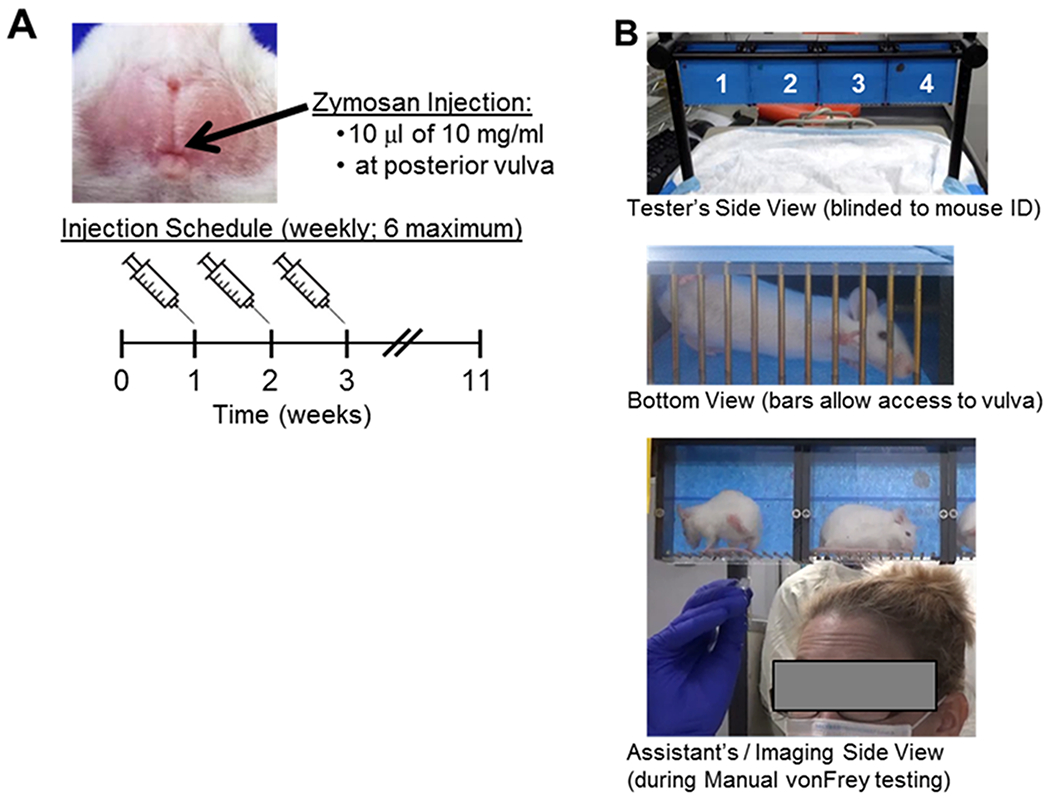 Figure 1: