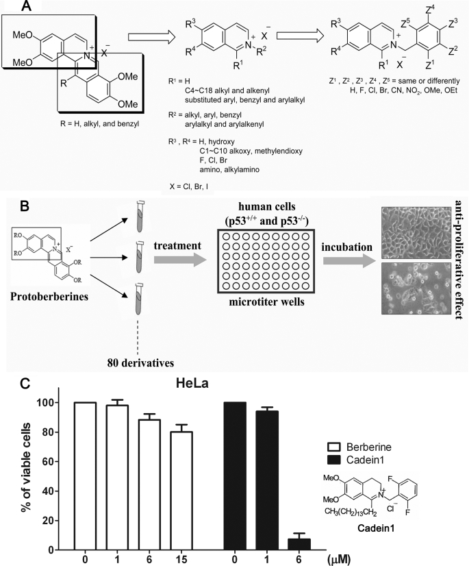 FIGURE 1.