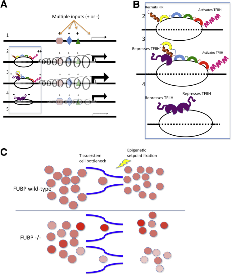 Figure 10