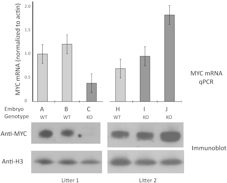 Figure 9