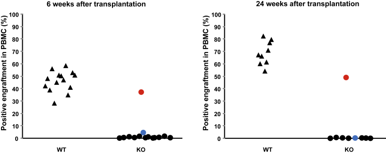 Figure 7