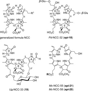 Figure 13