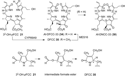 Figure 18