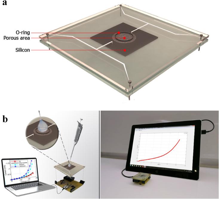 Fig. 3