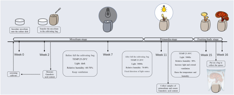 Fig. 4