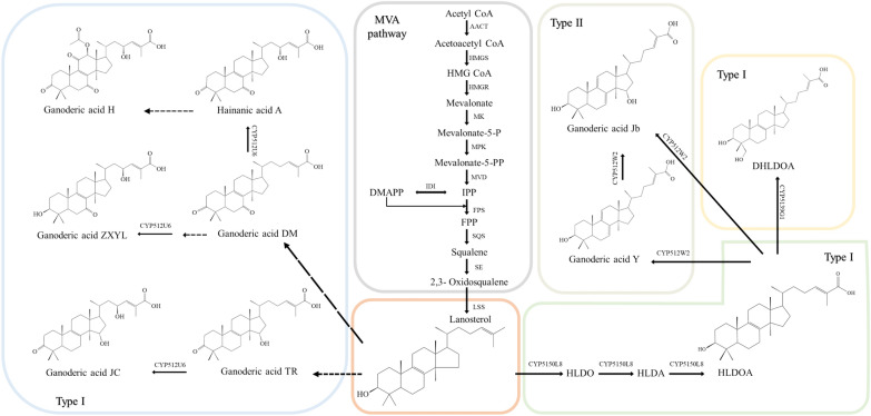 Fig. 3