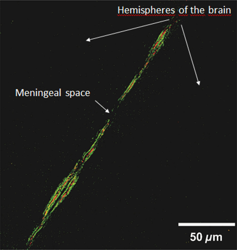 Fig. 5