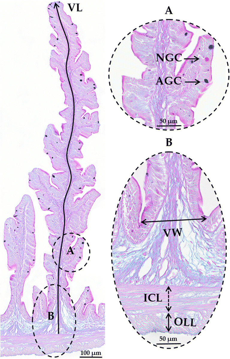 Fig. 2