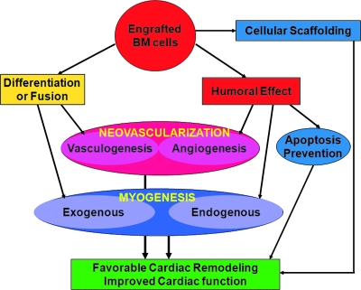 FIG. 7.