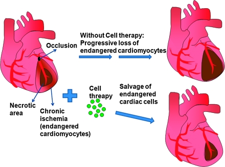 FIG. 6.