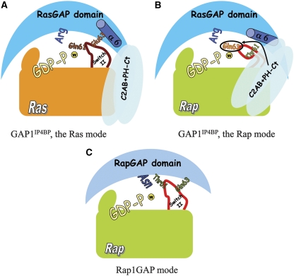 Figure 6