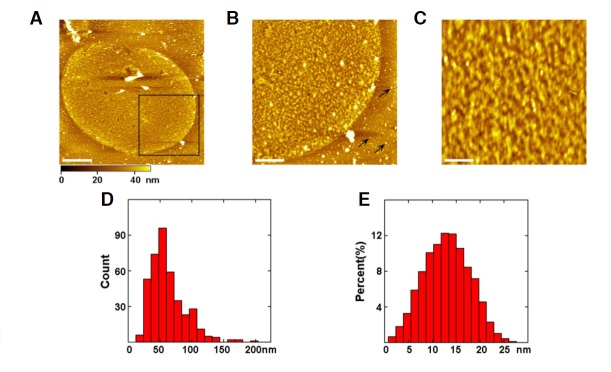 Fig. 2.