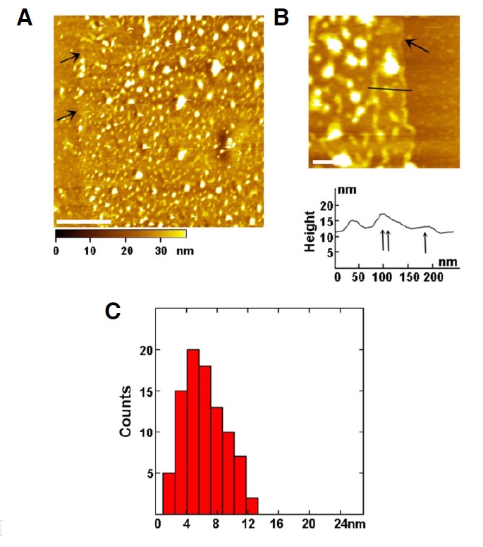 Fig. 3.