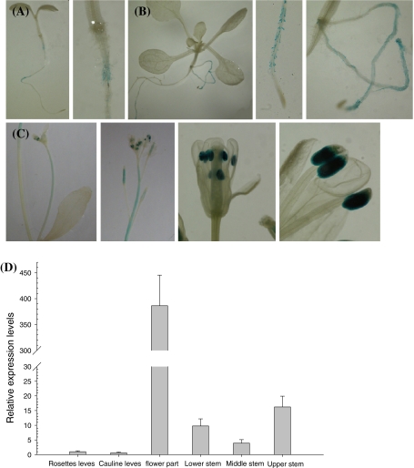 Fig. 3