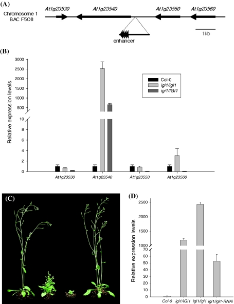 Fig. 2