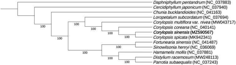 Figure 1.