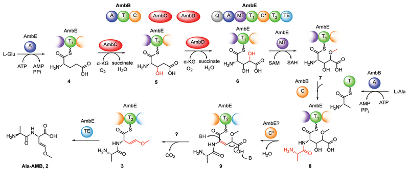 Figure 6.