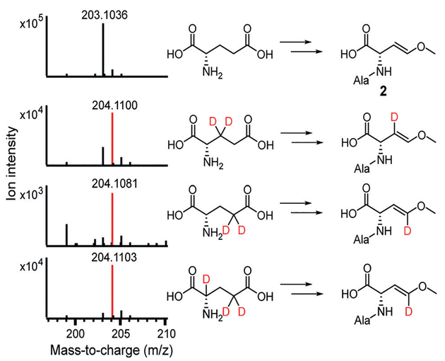 Figure 5.