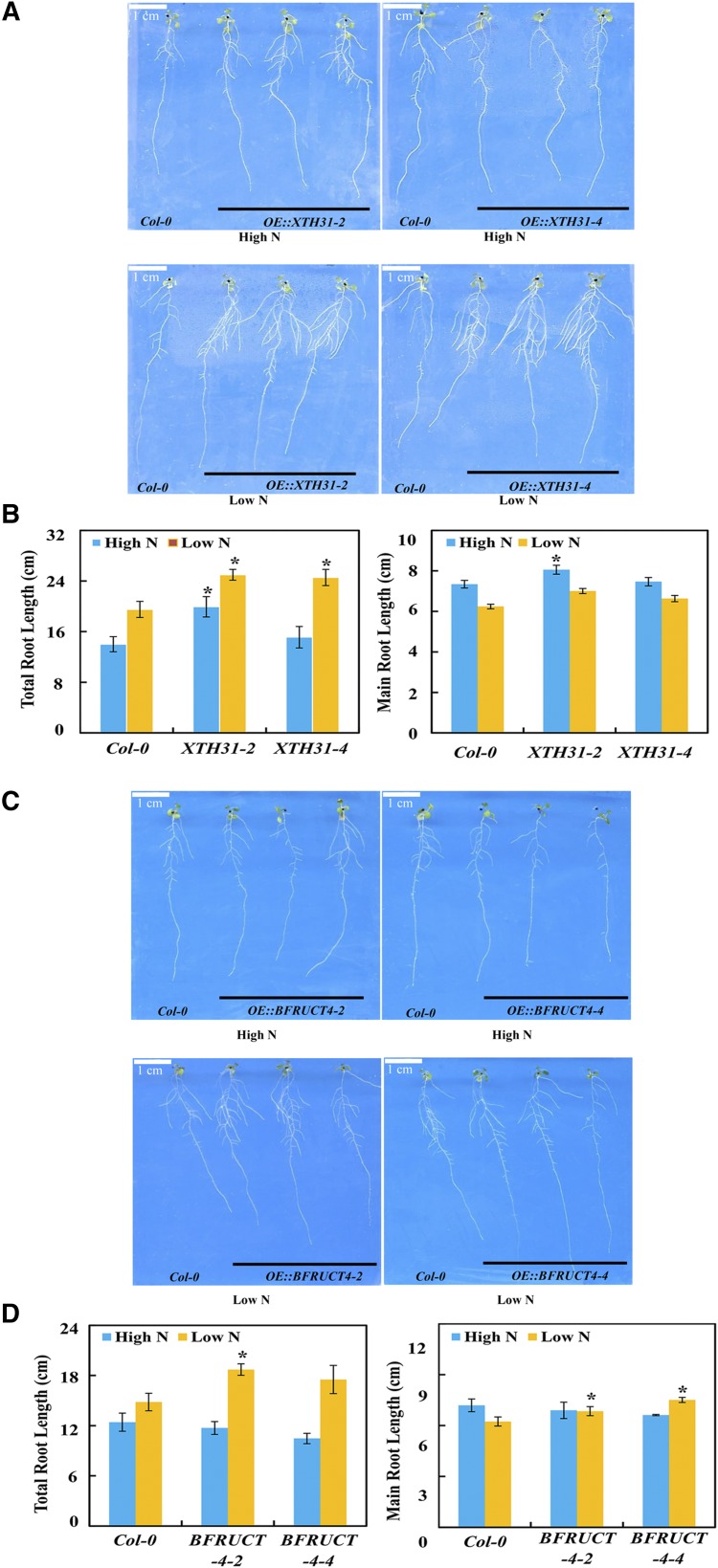 Figure 10.