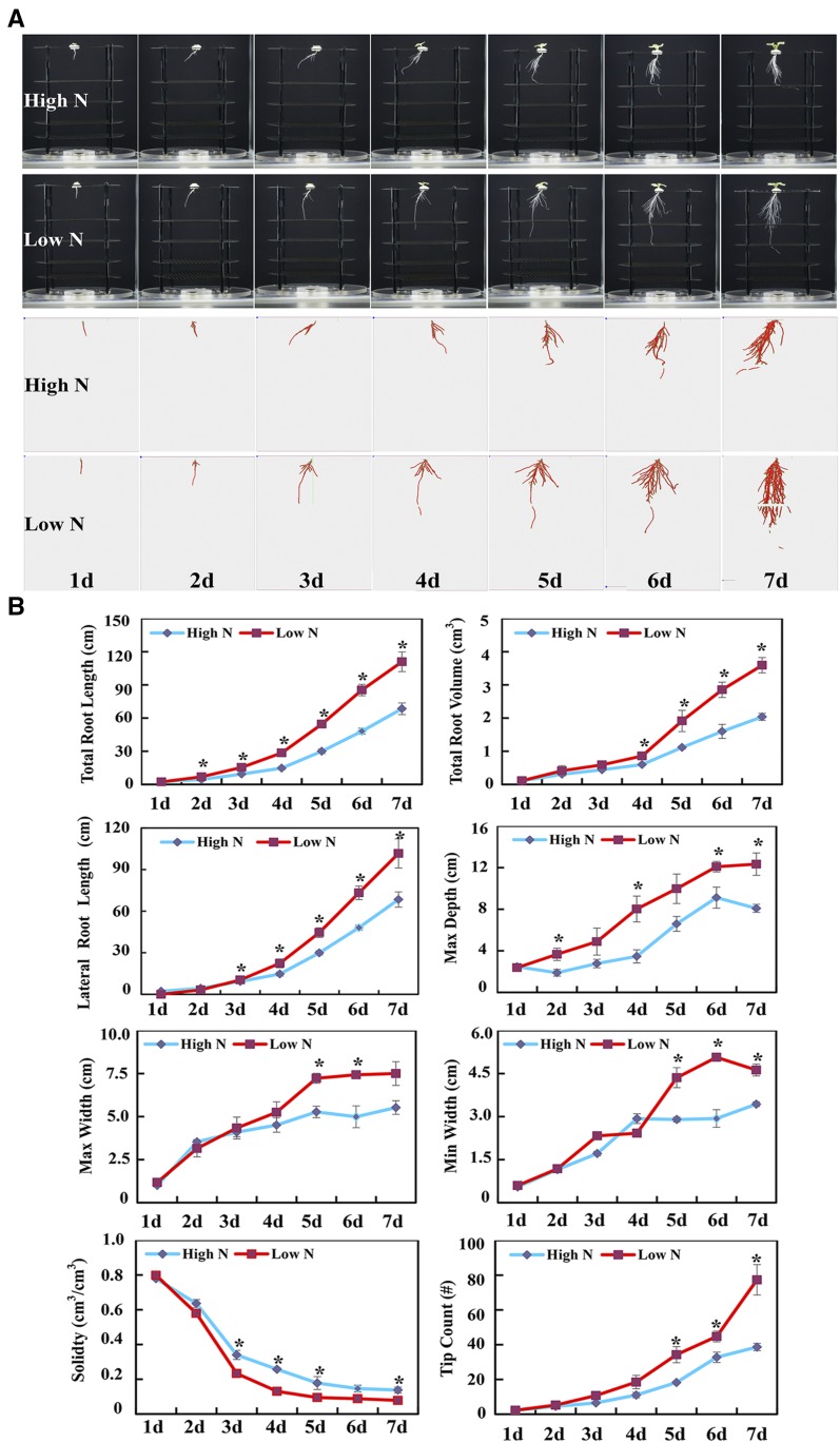 Figure 1.