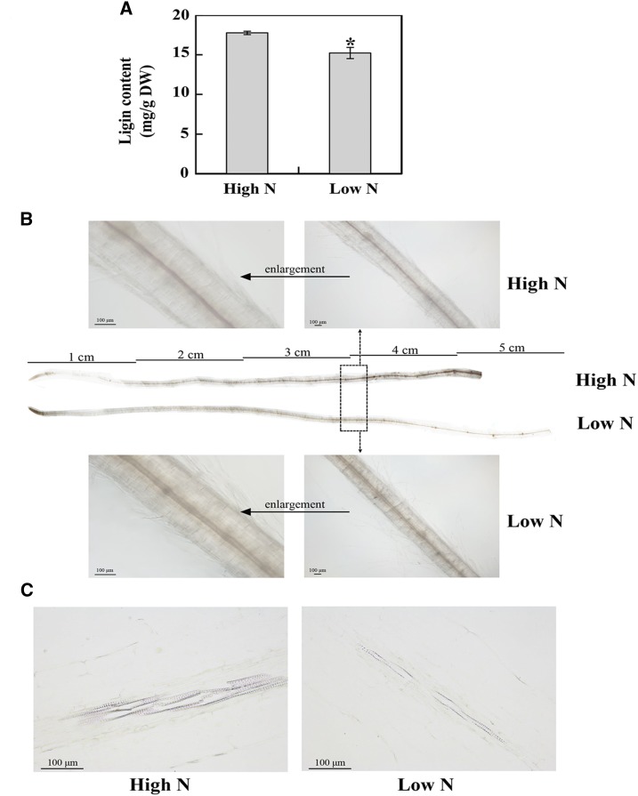 Figure 9.