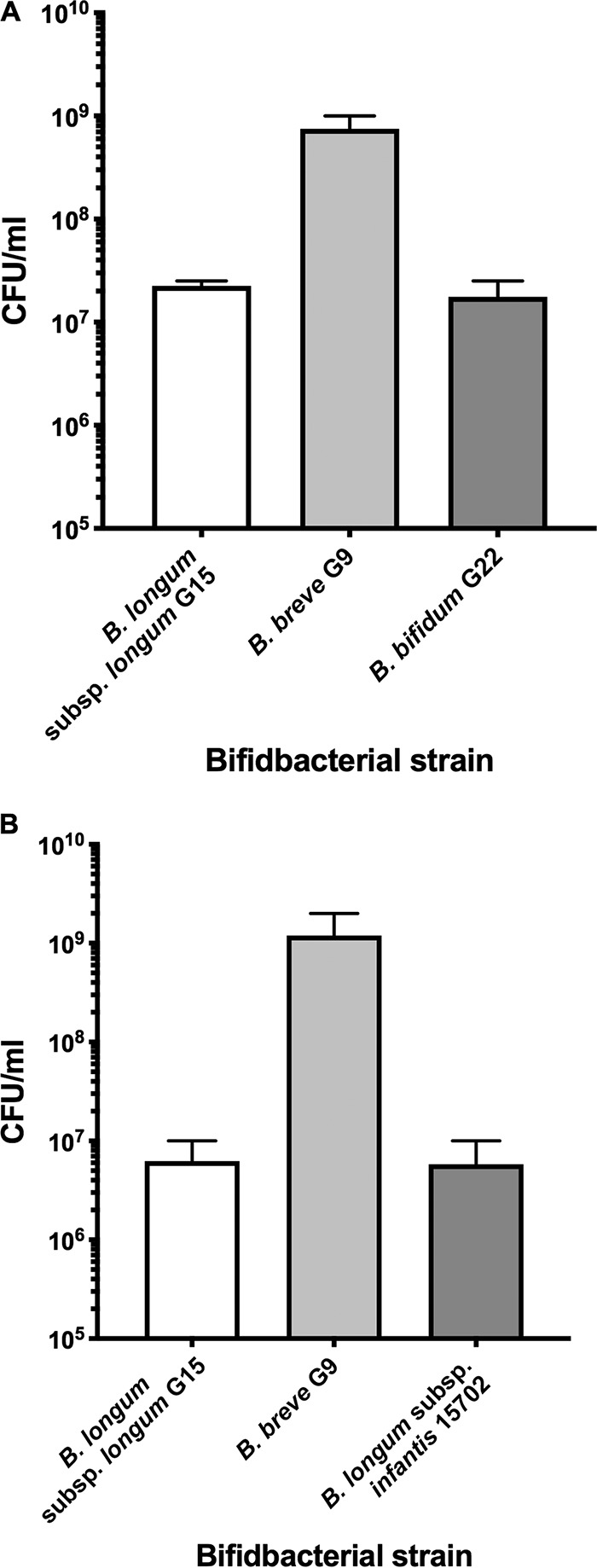 FIG 5