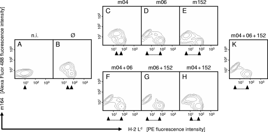 FIG. 1.