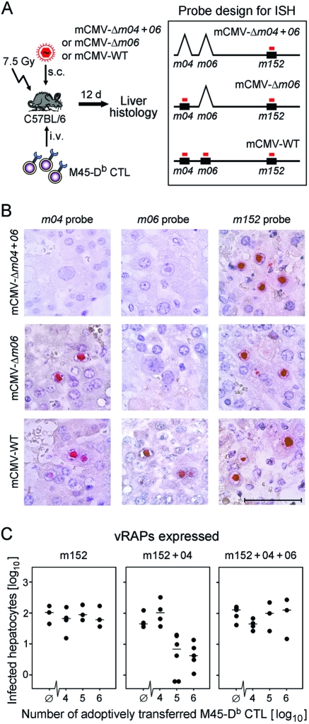 FIG. 7.