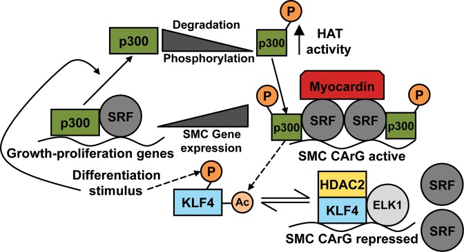 Figure 2