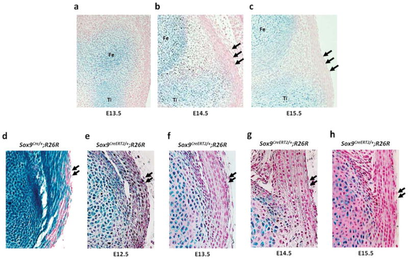 FIG. 6