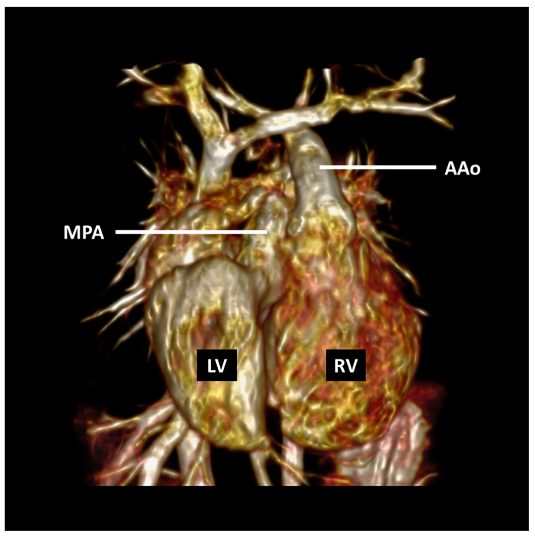 FIGURE 4