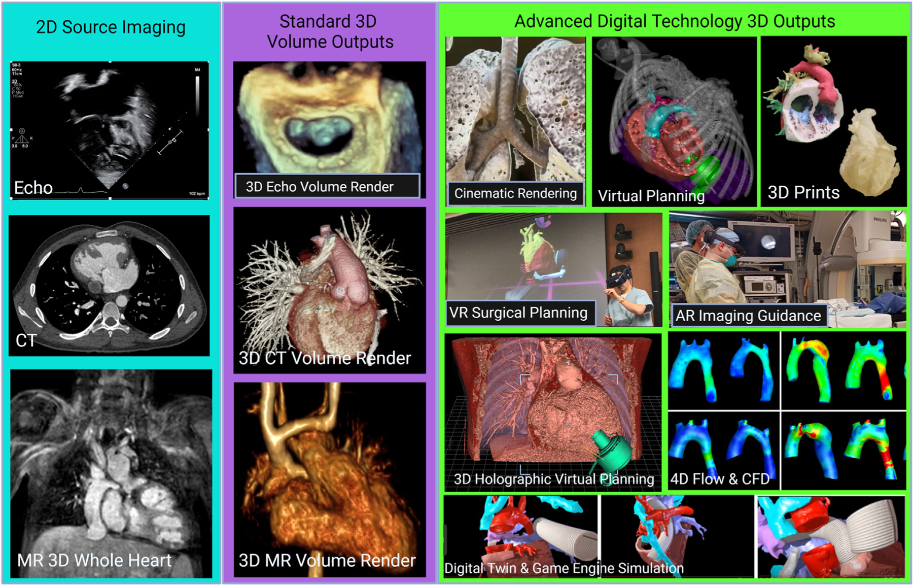 FIGURE 11