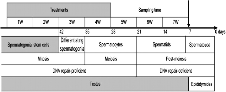 FIG. 1.