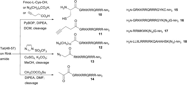 Scheme 2