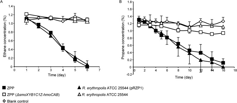 FIG 1