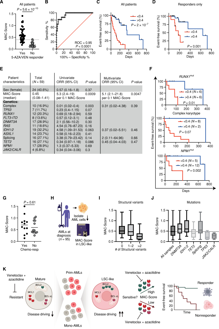 Figure 5. MAC-Score in LSC-like cells predicts response to 5-AZA/VEN with high accuracy. A, MAC-Score in LSC-like cells of patients with AML from all first-line 5-AZA/VEN AML patients combined (cohorts 1–3) and association to 5-AZA/VEN therapy outcome. B, Receiver operating characteristic (ROC) curve of MAC-Score and therapy outcomes of all first-line 5-AZA/VEN AML patients combined (cohorts 1–3). C, EFS of all first-line 5-AZA/VEN AML patients combined (cohorts 1–3) with above and below median MAC-Score. D, EFS of all first-line 5-AZA/VEN AML patients who achieved complete remission from combined cohorts (cohorts 1–3) with above (>0.4) and below (<0.4) median MAC-Score. E, Patient characteristics of first-line 5-AZA/VEN cohorts with retrospectively assessed risk factors of refractoriness to therapy. Univariate logistic regression was performed for every parameter. Multivariate logistic regression was performed on parameters with P < 0.15 in the univariate analysis. F, EFS from combined cohorts (cohorts 1–3) with above (>0.4) and below (<0.4) median MAC-Score based in patients with complex karyotype, RUNX1, or NPM1 mutation. G, MAC-Score in LSC-like cells from diagnostic AML patients receiving first-line standard induction chemotherapy and association to therapy outcome. H, Schematic representation of the experimental design for I–J. MAC-Score was calculated based on normalized BCL2 family protein expression levels in LSC-like cells from diagnostic AML patients independent of received therapy (n = 95). I, MAC-Score of patients with AML differentiated by the number of structural variants. J, MAC-Score of patients with AML with different recurrent AML mutations. K, Schematic model outlining the MAC-Score concept for predicting clinical response to 5-AZA/VEN. Each dot represents an AML patient sample with the line marking the mean unless specified otherwise. Mann–Whitney test was used to compare groups and the log-rank test to compare therapy durations of patients with AML. Resp, responder. Parts of the figure were created with BioRender.com.