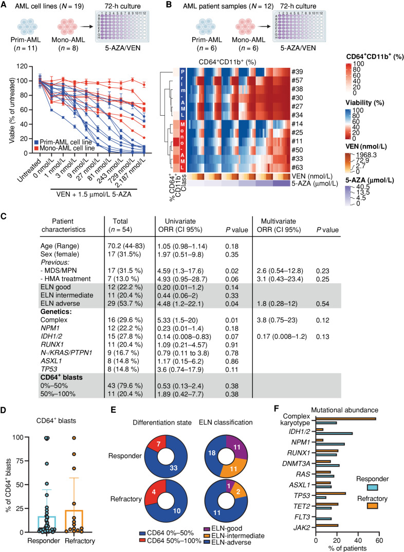 Figure 1. Monocytic characteristics indicate poor response to 5-AZA/VEN in cultured AML cells, but fail to predict clinical response in patients. A, Nineteen AML cell lines classified as primitive (Prim-AML, n = 11) or monocytic (Mono-AML, n = 8) based on CD64 surface expression (Mono-AML: MFI > 3,500, Prim-AML: MFI < 1,000) were treated ex vivo with 1.5 μmol/L of 5-AZA and increasing concentrations of VEN for 72 hours. Representative data of two independent replicates. Mean ± SEM of technical replicates. B, Mononuclear cells of patients with AML (N = 12) were treated ex vivo for 72 hours on a drug matrix with increasing 5-AZA and VEN concentrations. Unsupervised clustering was performed based on viability. Each quadrant represents one well with a specific 5-AZA/VEN combination on the drug matrix. C–F, Fifty-four untreated naive patients with AML treated with 5-AZA/VEN as first-line therapy were retrospectively assessed for risk factors of response/refractoriness to therapy. C, Univariate logistic regression was performed for every parameter. Multivariate logistic regression was performed on parameters with P < 0.1 in the univariate analysis. D, Percentages of CD64+ cells in pretreatment AML samples. E, Number of responding or refractory patients associated with differentiation state (based on the percentage of CD64+) or ELN classification groups. F, Abundance of different mutations within responding and refractory patients. ORR, objective response rate. Parts of the figure were created with BioRender.com.