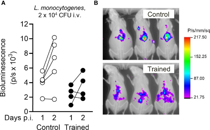 Figure 6