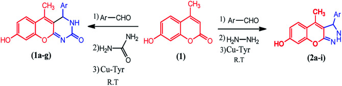 Scheme 1