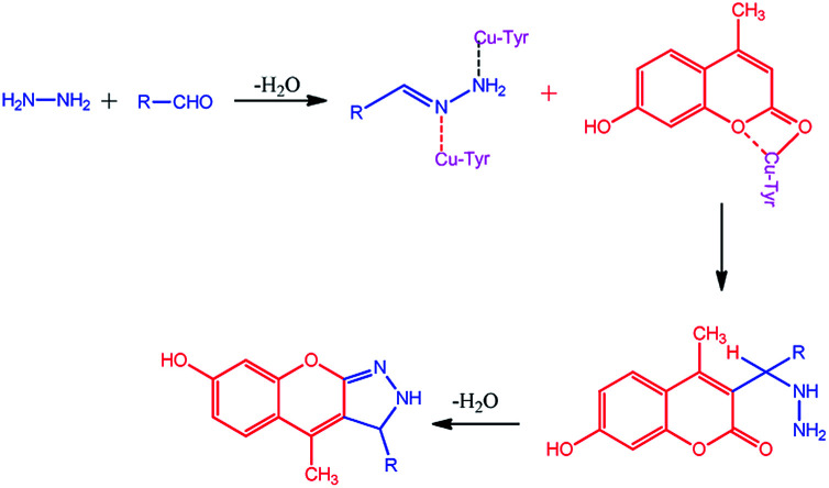 Scheme 3