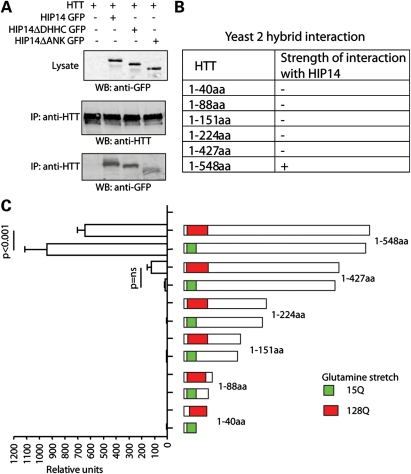 Figure 2.