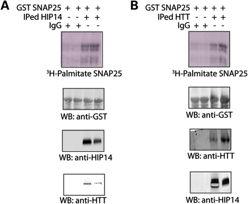 Figure 3.