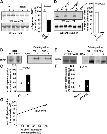 Figure 4.