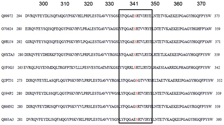 Figure 7