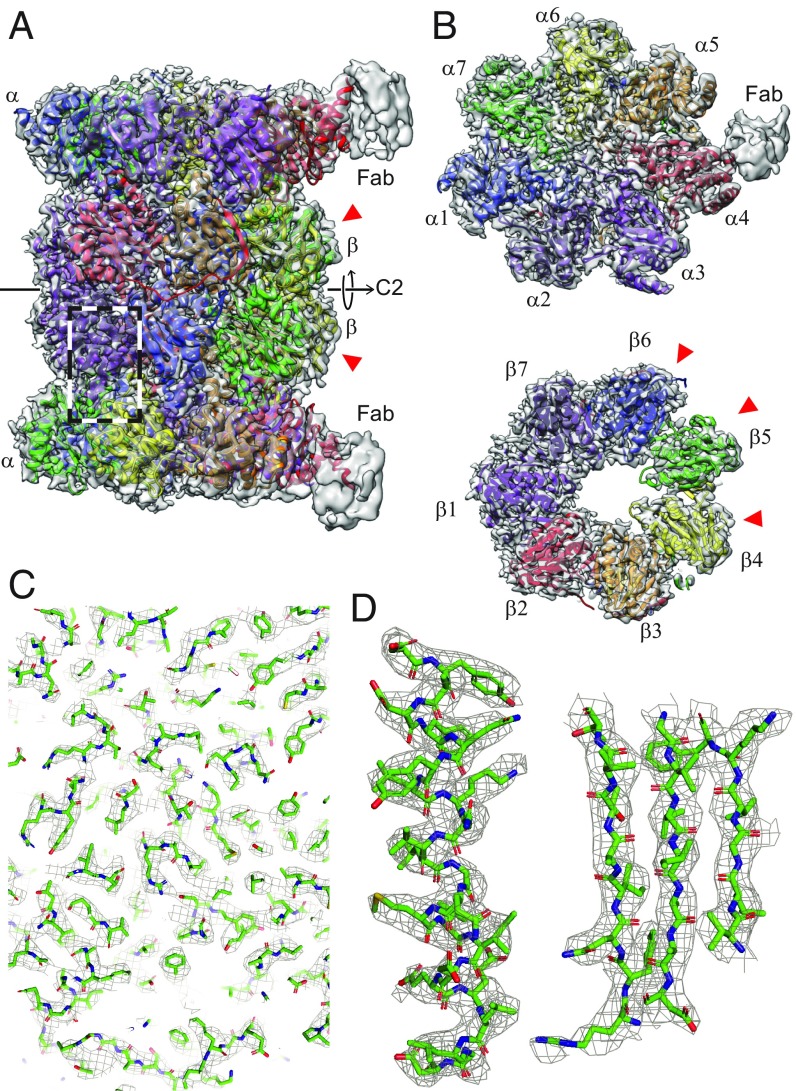 Fig. 3.