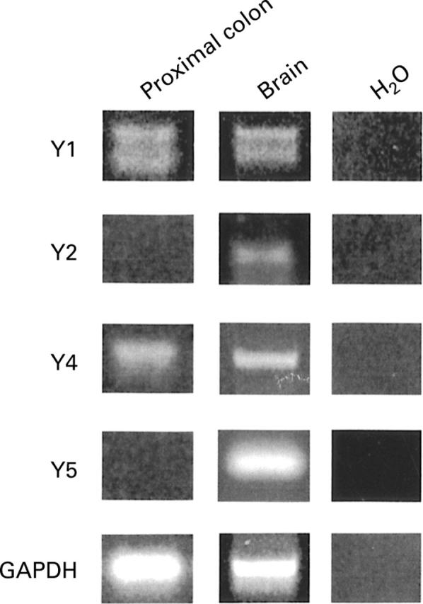 Figure 6  